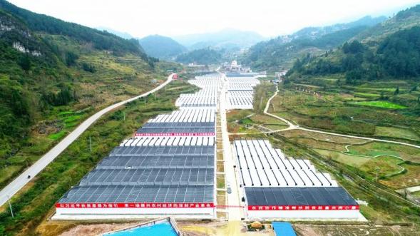 黔东南州凯里市：党建引领奏响东西部扶贫“协作曲”