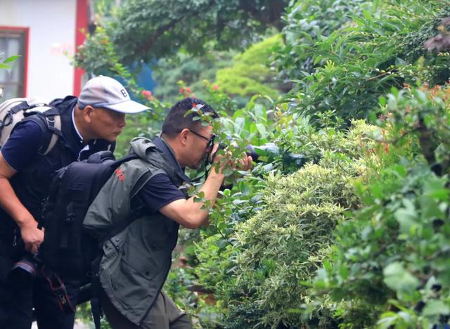 天下摄影家齐聚沭阳国际花木城