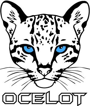 41c97a4948cc400abf9ea9caf5a34505