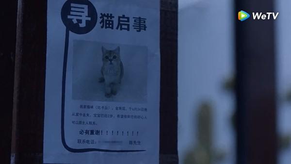 三十|男子手机与三十而已陈屿撞号 无辜民众崩溃