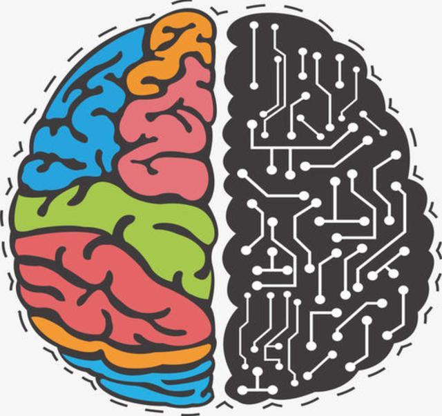 美国麻省理工发现：想让儿童大脑聪明智商高，不能只靠"读书"