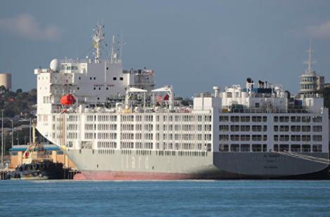 停泊西澳港口的中东运羊货轮，又有6名船员染疫！