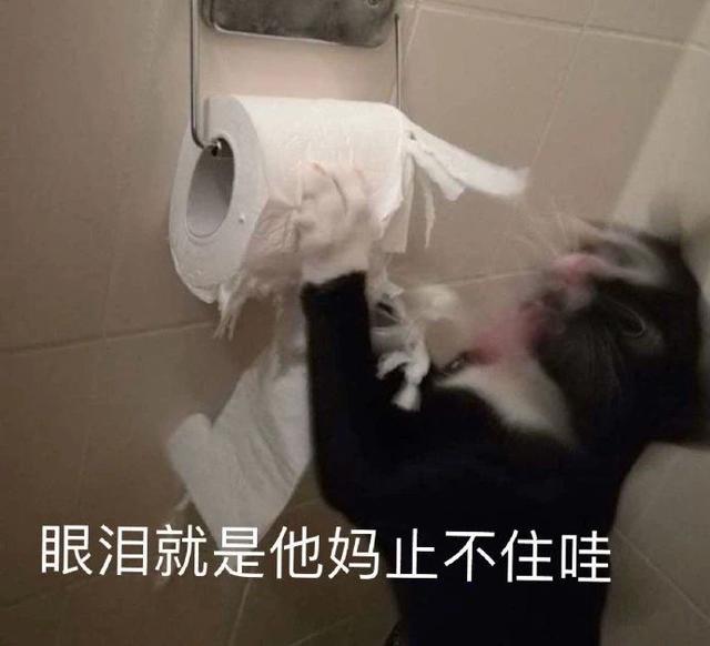 啥都不知道，他是在装傻吗？