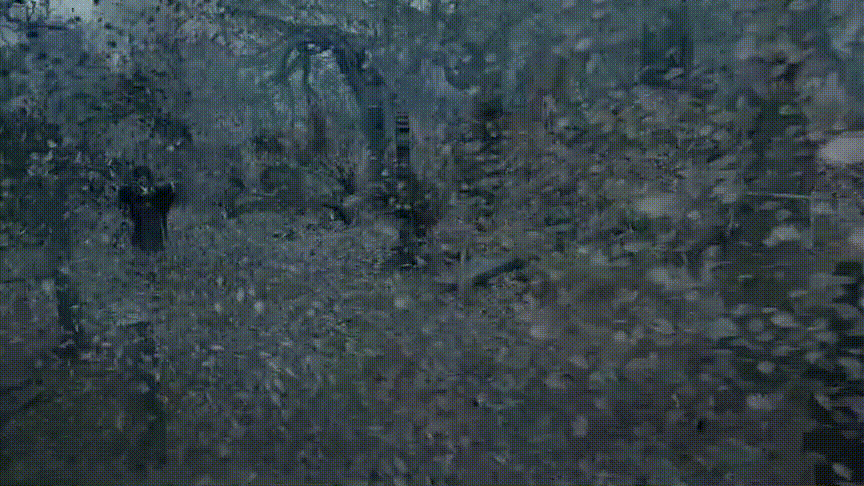 抛开你的有色眼镜，陈星旭新版的《倩女幽魂》