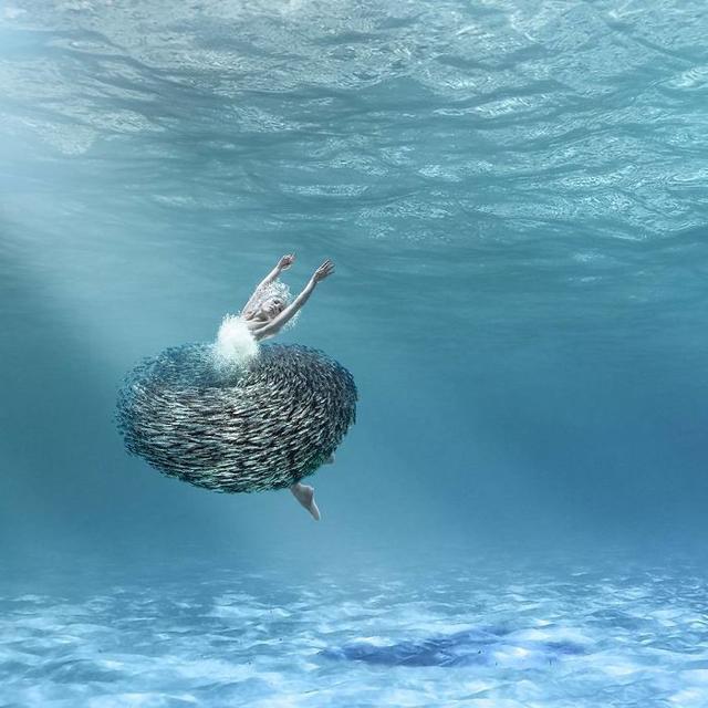 ps创意作品图片和素材