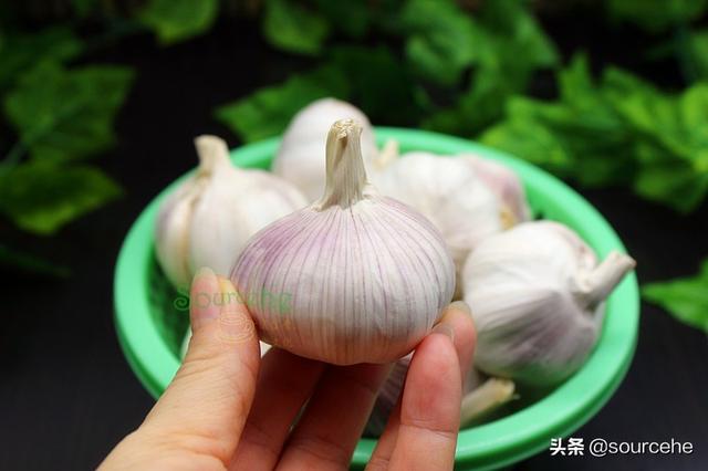 大蒜的这三种存放方法，任意一种，放一年依旧新鲜不长芽，太赞了