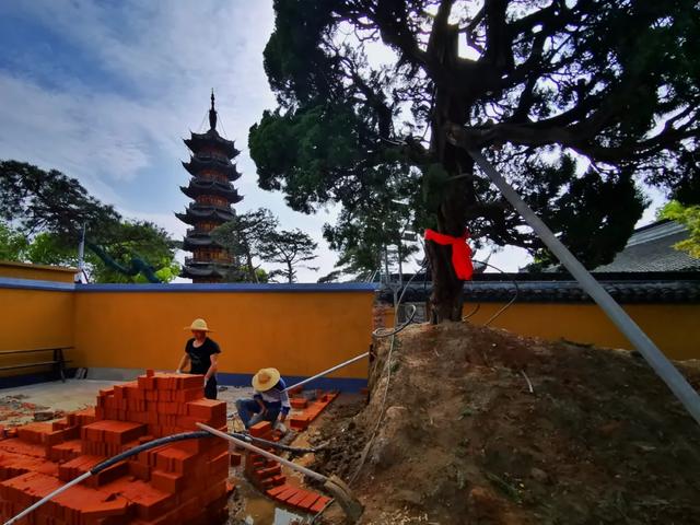 天上人间诸景备！这座和豫园“师出同门”的小园林，你可知晓？