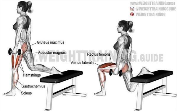 超全胸、腰、臀腿、肩背肌肉訓練圖解：健身圈必收，男女通用