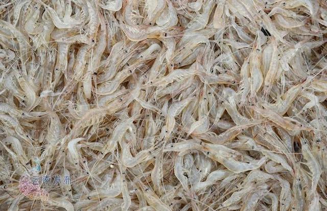 4涨8跌！上周云南生活必需品零售价格来了