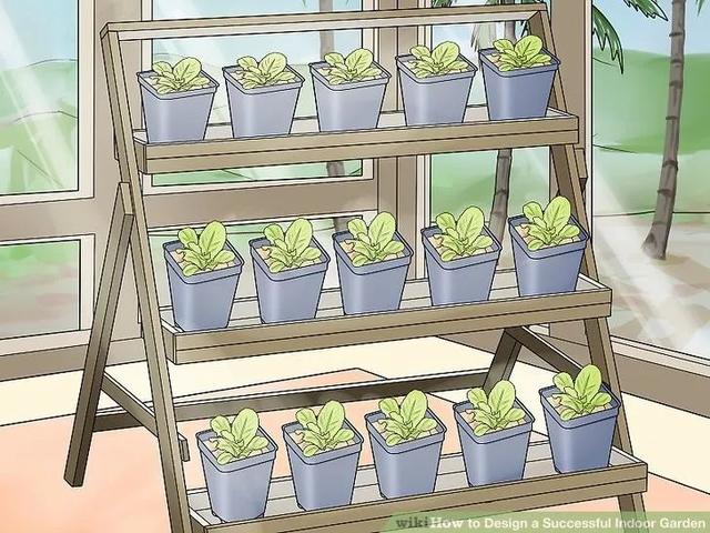 打造室内花园 提高宅家幸福感 Sikastone