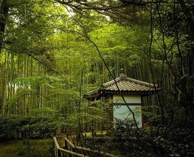 竹里馆图片风景图片