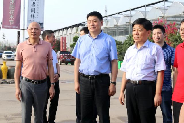 县长彭伟率领淮安考查团抚玩花木城