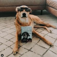 如果分离无法避免，请让我们好好告别