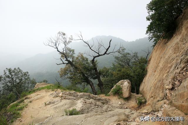 喝酒吃鸡为自己压压惊！走南闯北的老张竟然在石佛堂山顶迷路了