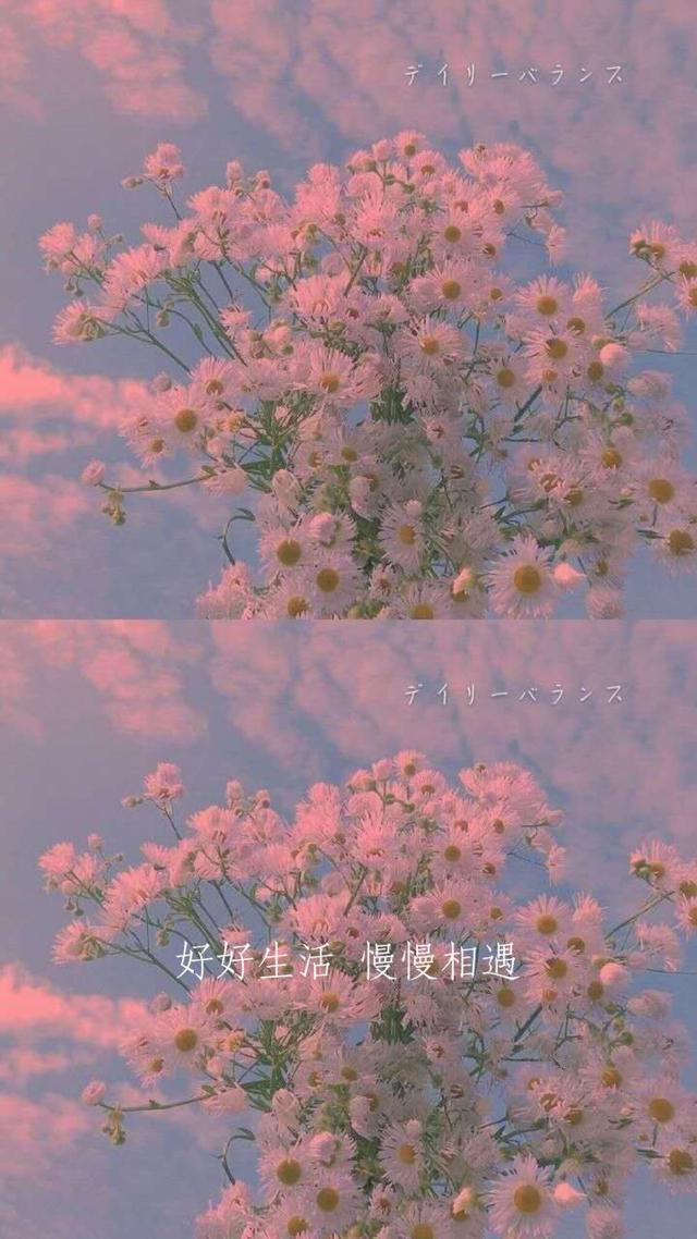 白茶,清欢,无别事