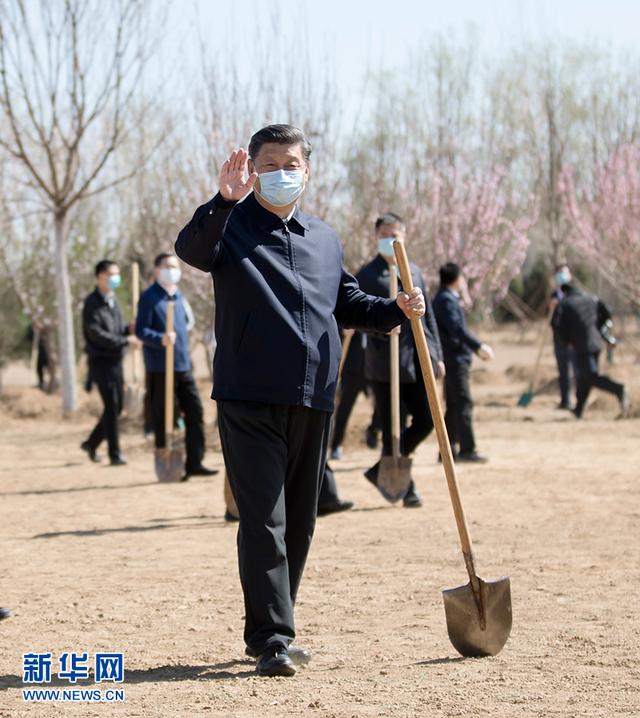 习近平参加首都义务植树活动(图5)