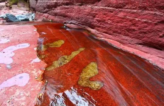 印度天降“红雨”，雨中发现神秘生物，真的是外星文明操控的吗？