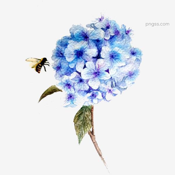 蓝色绣球花唯美水彩少女pngpng搜索网 精选免抠素材 透明png图片分享下载 Pngss Com