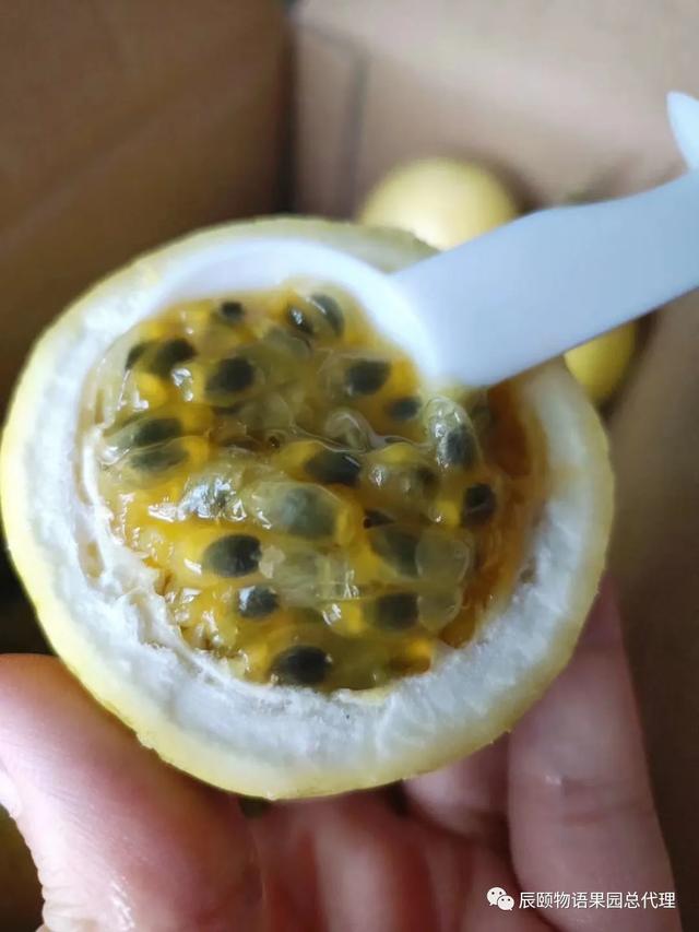 辰颐物语：黄金百香果竟然甜得像蜂蜜，美白还养颜