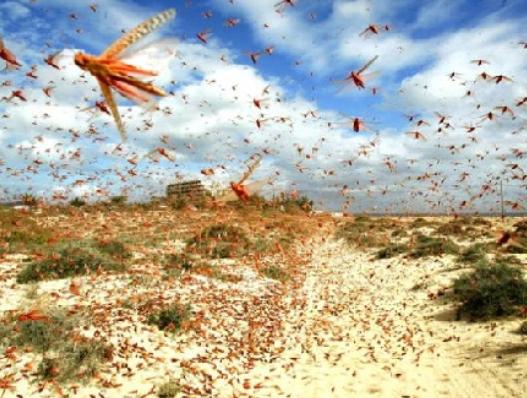 新的危机已经来了！比新冠疫情还要严重，上千万人面临生存考验