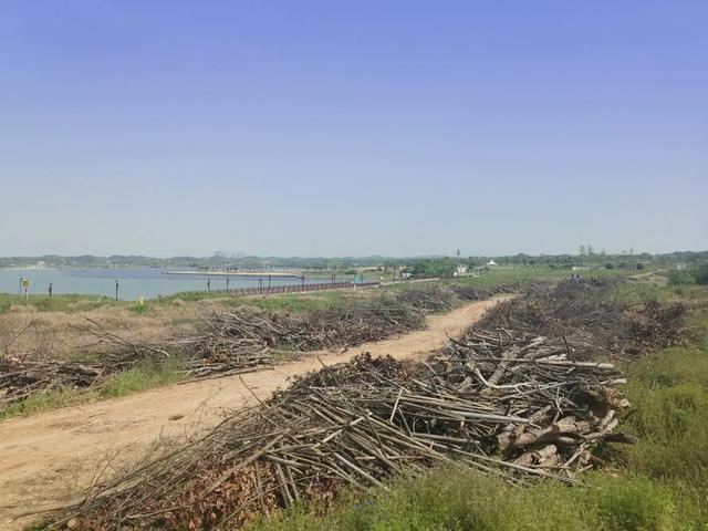 中能装备QTG300施工案例——松雅湖国家湿地公园园林废弃物粉碎