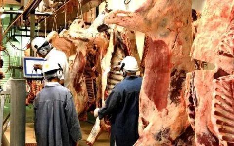 35亿出口泡汤？中企已暂停进口澳洲牛肉，俄罗斯已获200吨订单