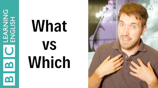 what什么意思(what什么意思中文翻译)