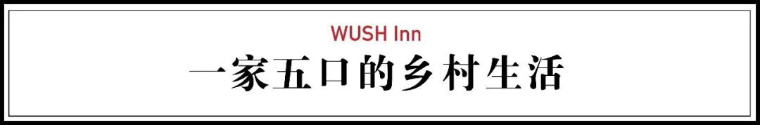 夫妻抵押掉上海独栋洋房，借1300万到乡下造房：我自在了