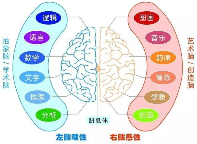 美国麻省理工发现：想让儿童大脑聪明智商高，不能只靠"读书"