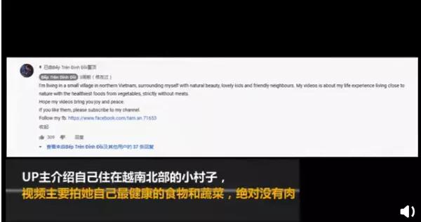 盗版李子柒靠抄袭走红，网友：她的美你抄不来！