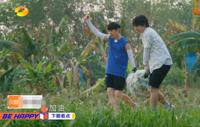 《向往的生活》滤镜有多强？香蕉在树上还是绿