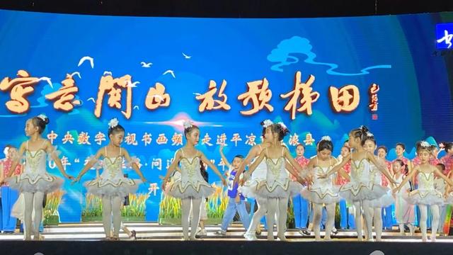 央视书画频道重磅报道2020年“交响丝路 · 问道崆峒”平凉崆峒文化旅游节系列活动