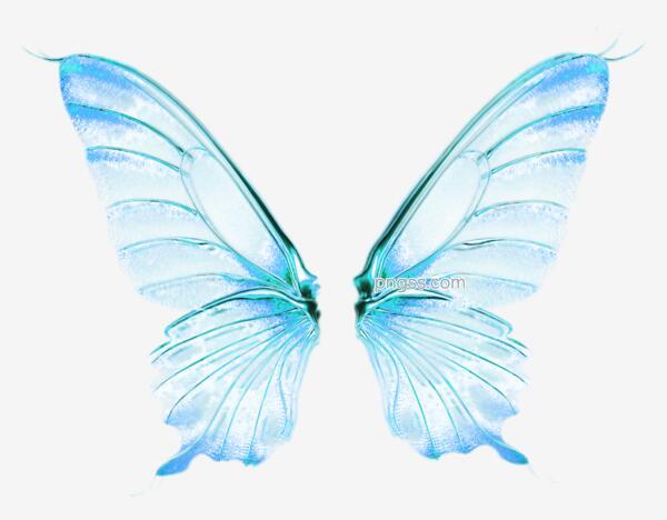 仙女翅膀背景png搜索网 精选免抠素材 透明png图片分享下载 Pngss Com