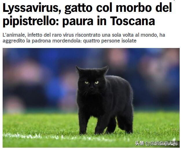 意大利发现新病毒，地区陷入恐慌！猫咬主人后死亡，全市抓蝙蝠