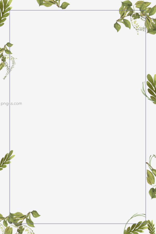 手绘植物简约边框png搜索网 精选免抠素材 透明png图片分享下载 Pngss Com