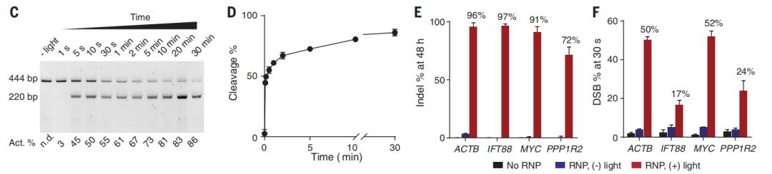 Science重磅 从数小时降至几秒钟 华人学者开发反应速度最快的crispr基因编辑系统 基因编辑网