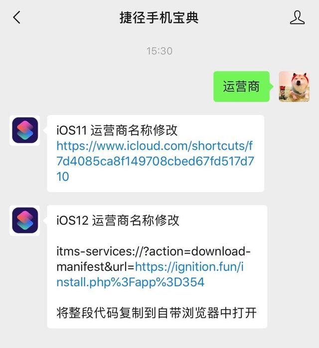 苹果手机怎么把中国移动改成别的字