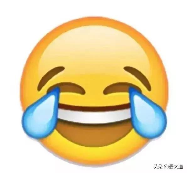 哭笑表情是什么意思(哭笑表情是什么含义呢)