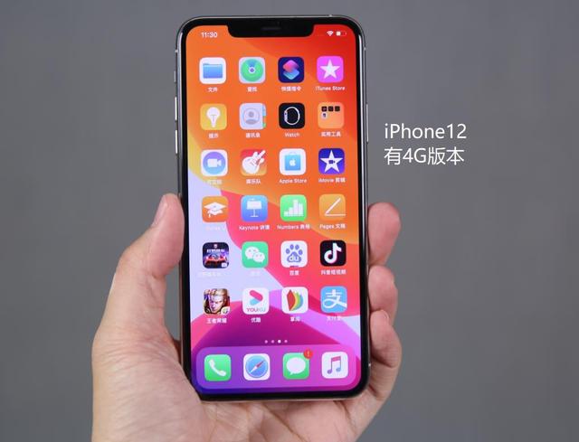 iPhone12有4G版？网友：以用户为中心，不像国产机