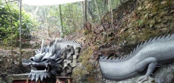 土龙多少钱(土龙多少钱一斤)