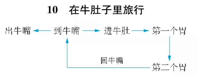 《在牛肚子里旅行》教学设计与教学反思