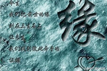 独殇什么意思唯一人独殇什么意思