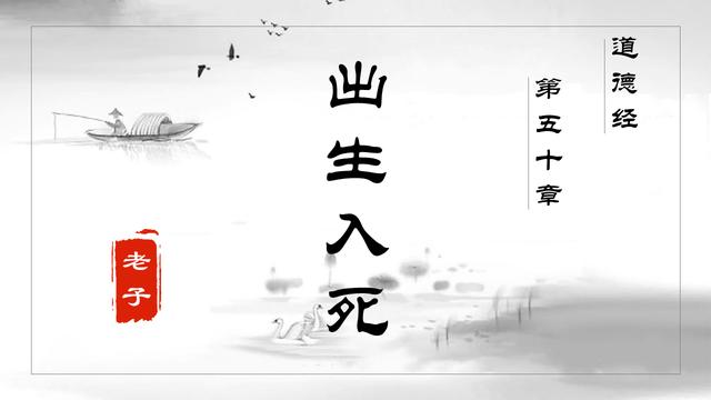 出生入死是什么意思出生入死是什么动物