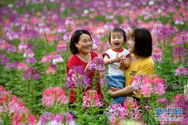 绚丽花海扮靓秦岭小城(图4)