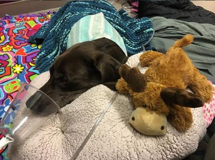 如果分离无法避免，请让我们好好告别