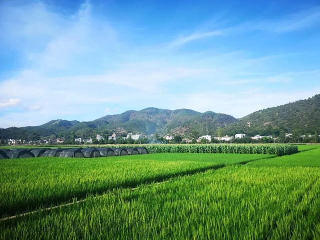 已获批！云南又要新建一条高速公路，途经这些