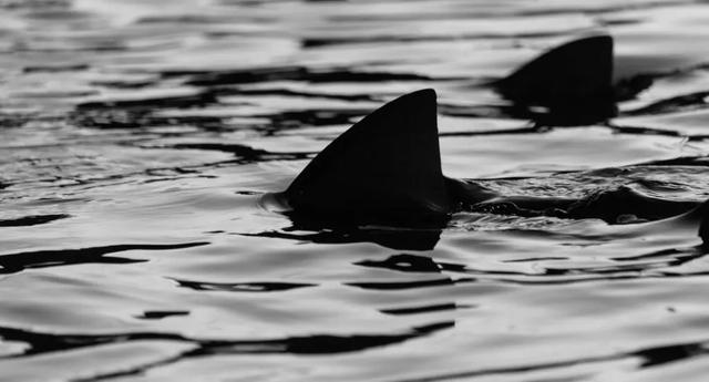 中国男子海上漂流133天，被写进美军教材，论中国人的生存能力