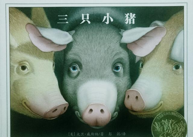 读了三只小猪的故事懂得了什么一一