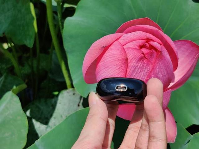 南卡lite真无线降噪耳机体验：价格厚道，体验升级