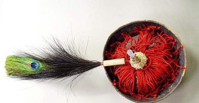 翎是什么意思(翎的形旁)